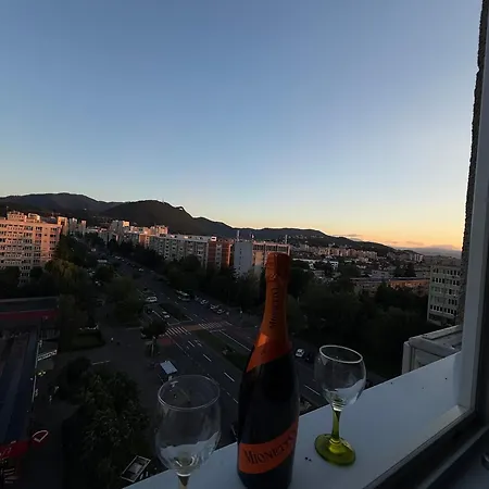 Panoramic - Jacuzzi & Tampa View *
