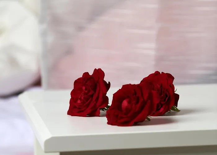 Appartement Romantic *